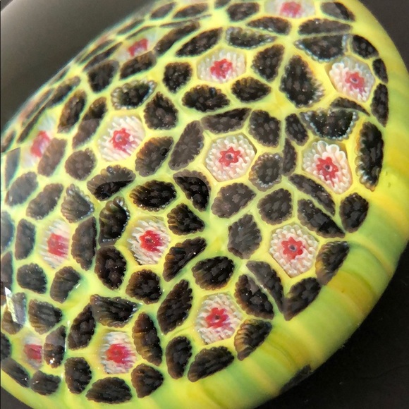 HAND BLOWN PAPERWEIGHT LIME GREEN BLACK,RASPBERRY - Picture 5 of 8